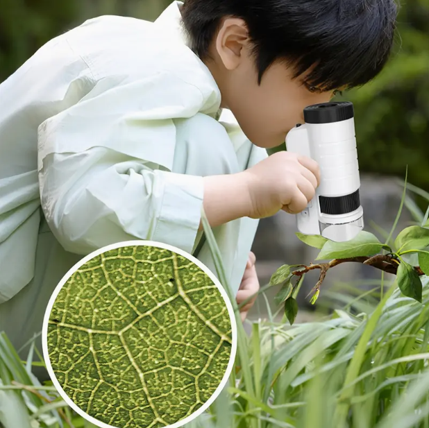 Handheld LED Mini Microscope product image 1