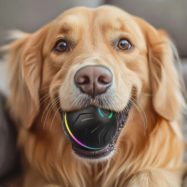 Smart Bouncing Dog Ball product image 1