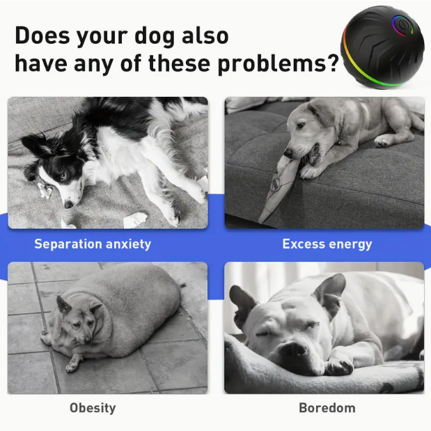 Smart Bouncing Dog Ball – Motion-Activated Rolling Toy for Active Pets